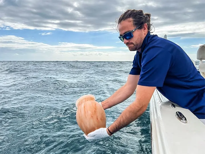 Biodegradable Urn for Burial at Sea